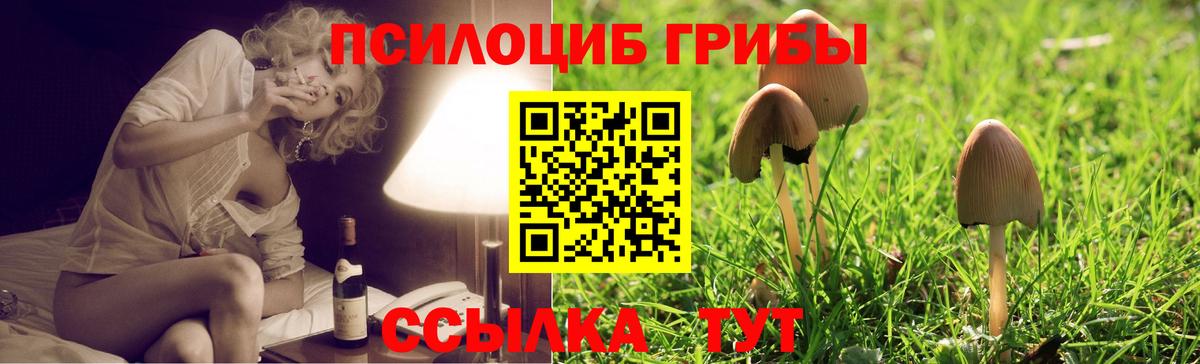 Галлюциногенные грибы ЛСД  Вход с VPN  Черняховск  наркошоп  Галлюциногенные грибы ЛСД 